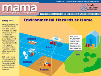 March of Dimes - Environmental Hazards